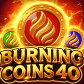 Burning Coins 40 – Spielmotiv